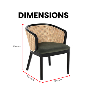 Borneo Solid Teak Rattan Dining Armchair - Mr Nanyang