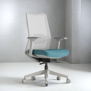 Daebak ComfortPlus Ergonomic Office Chair - Mr Nanyang