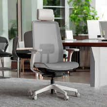 Load image into Gallery viewer, OptiSeat Max Ergonomic Office Chair - Mr Nanyang