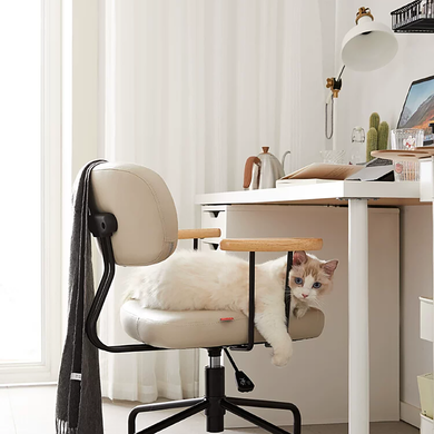 CozyPro Desk Ergonomic Chair - Mr Nanyang