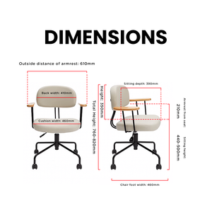 CozyPro Desk Ergonomic Chair - Mr Nanyang