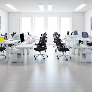 ProStation Adjustable Standing Desks - Mr Nanyang