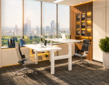 Load image into Gallery viewer, DuoFlex 2-person adjustable standing desk with white frame, the two workstations set at different heights in an office
