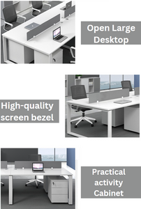 FlexiModule Modern Office Workstations - Mr Nanyang