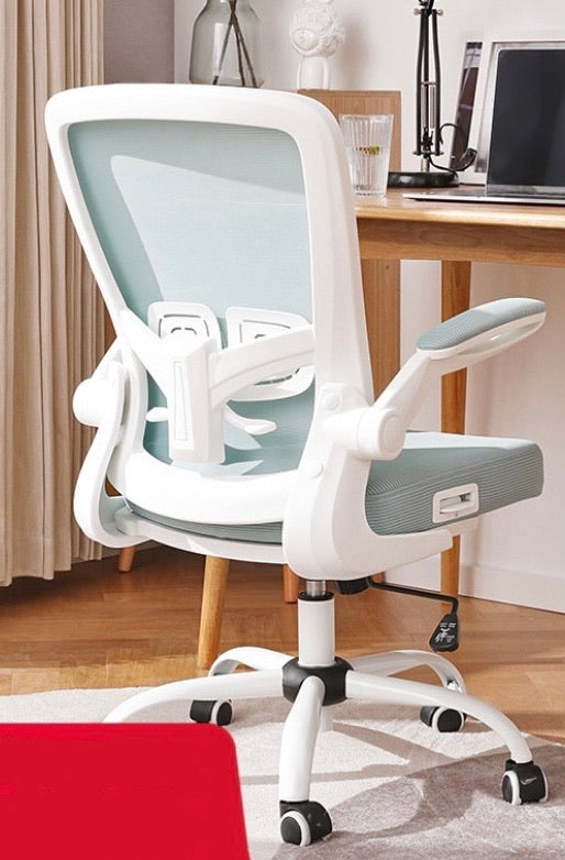 Student Chair, Adjustable Writing Chair Desk, Swivel Chair - Mr Nanyang