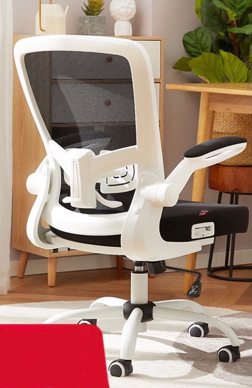 Student Chair, Adjustable Writing Chair Desk, Swivel Chair - Mr Nanyang